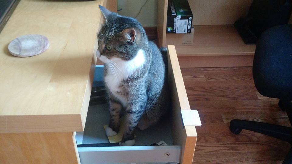 Desk Drawer