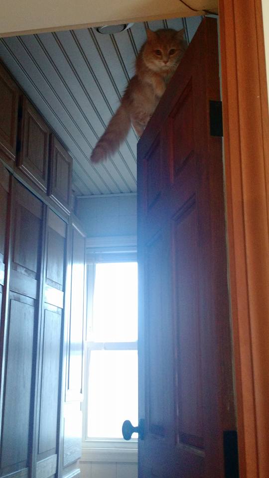 On Top of Door